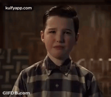 A Young Boy Wearing A Plaid Shirt And Bow Tie Looks At The Camera . GIF