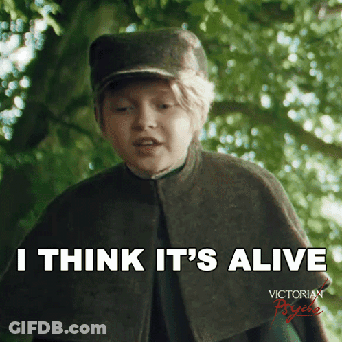 A Young Boy With A Cape And Hat Says I Think It 'S Alive GIF