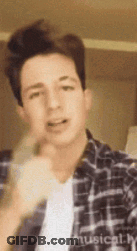 A Young Man In A Plaid Shirt Is Taking A Selfie With His Hand On His Chin . GIF