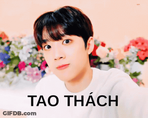 A Young Man In A White Shirt Is Standing In Front Of A Bunch Of Flowers And The Word Tao Is On The Bottom GIF