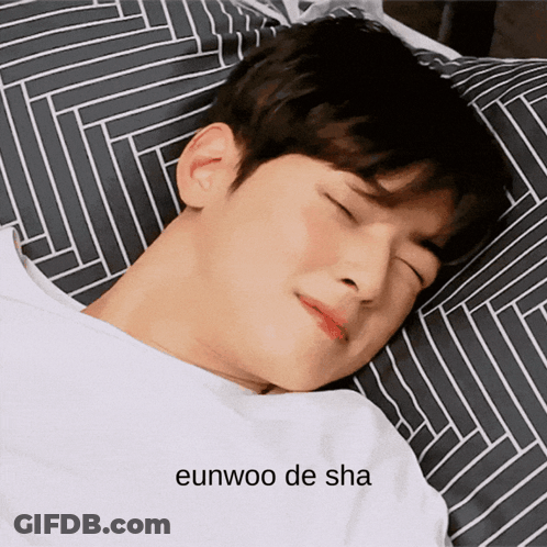 A Young Man Laying On A Striped Pillow With The Words Eunwoo De Sha Above Him GIF