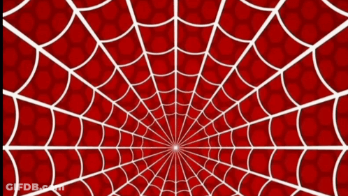 A Young Man Stands In Front Of A Spider Web GIF