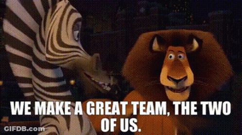 A Zebra And A Lion Are Standing Next To Each Other With The Words " We Make A Great Team The Two Of Us " GIF