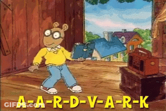 Aardvark Standing On Wooden Floor GIF
