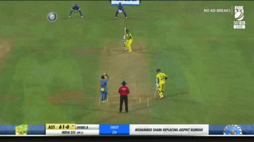 Aaron Finch Cricket Hit GIF