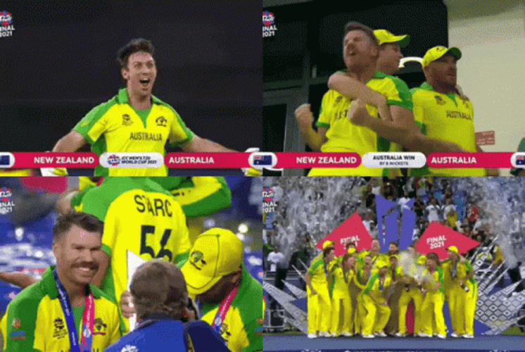Aaron Finch David Warner Cricket Win GIF