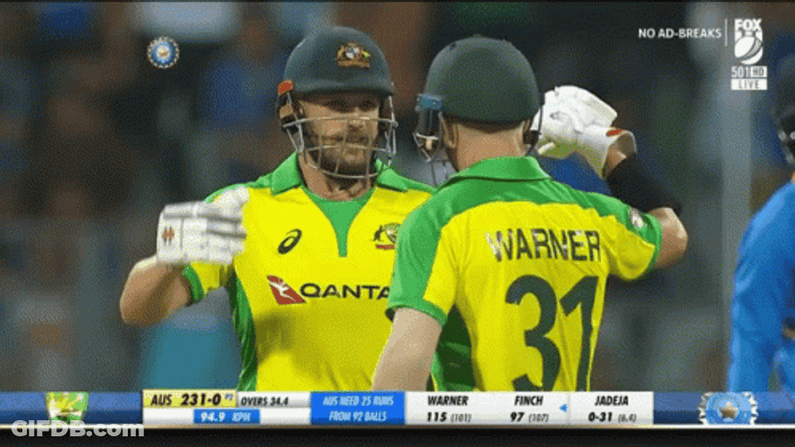 Aaron Finch David Warner Hug GIF