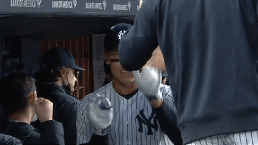 Aaron Judge High Five GIF