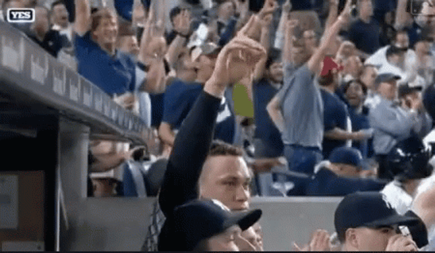 Aaron Judge Thumbs Down GIF