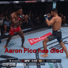 Aaron Pico Has Died In UFC Fight Between Murphy And Pico GIF