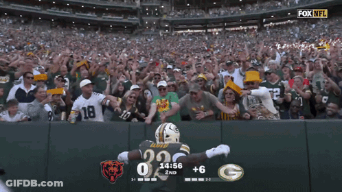 Aaron Rodgers Giving Middle Finger GIF