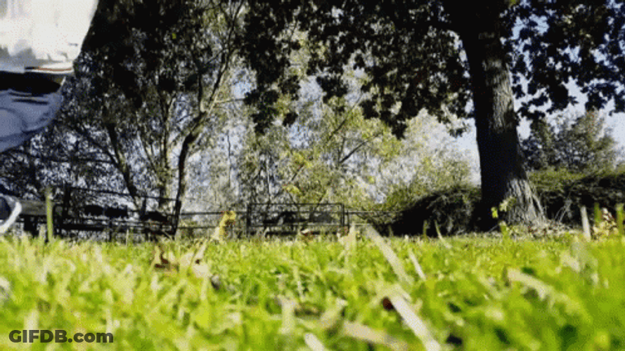 Aasif Falling Down On The Ground GIF