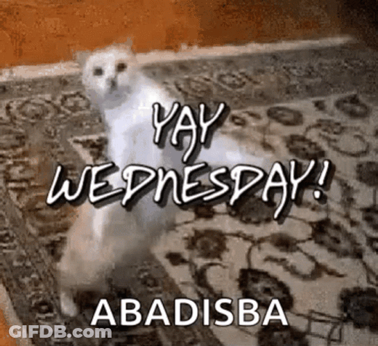 Abadisba Yay Meme Wednesday Dance GIF