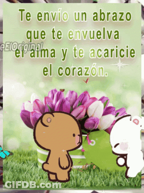 Abrazo GIF