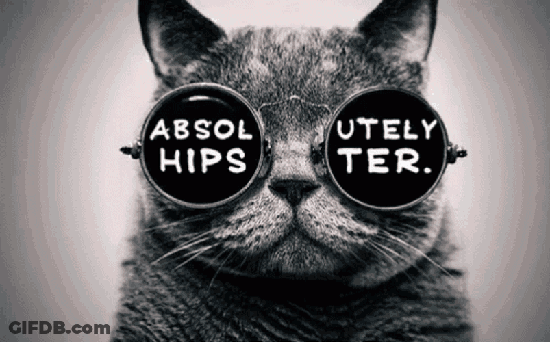 Absolutely Hipster GIF