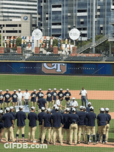 Acc Champions Georgia Tech Baseball GIF