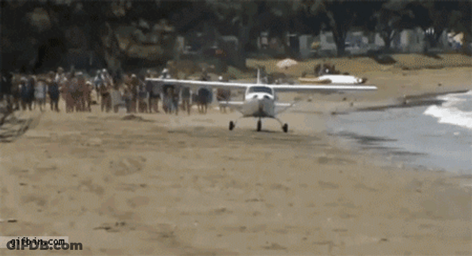 Accident Beach Plane Crash GIF