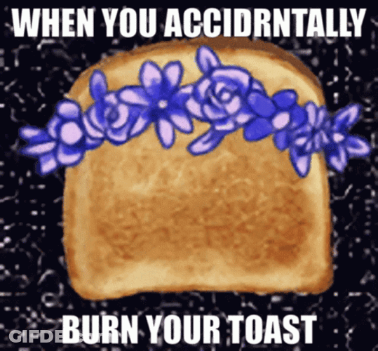 Accidentally Burns French Toast GIF