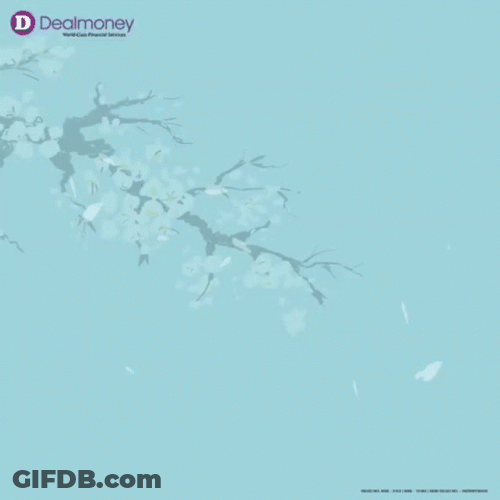 Accountant Financial Info GIF