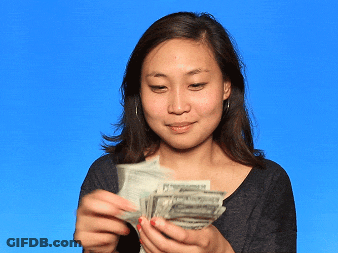 Accountant Girl Counting Money GIF