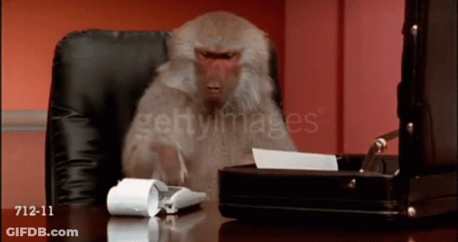 Accountant Monkey Solving In Calculator GIF