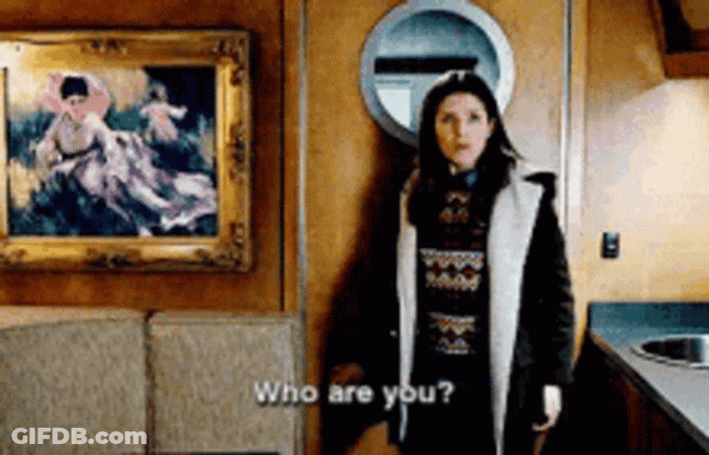 Accountant Who Are You? GIF