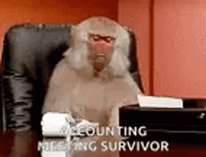 Accounting Monkey Meme GIF