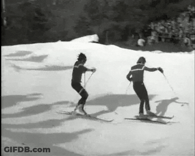 Accurate Movement Ski GIF