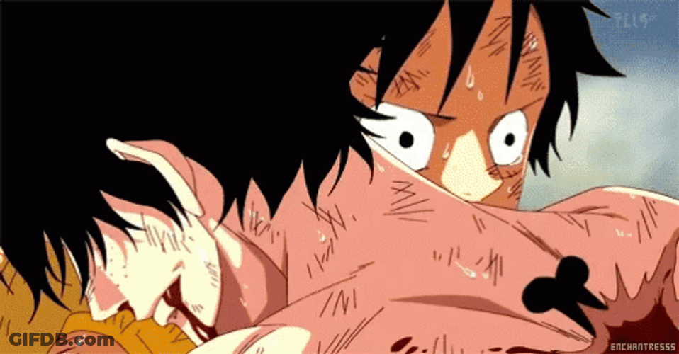 Ace Hugging Luffy GIF