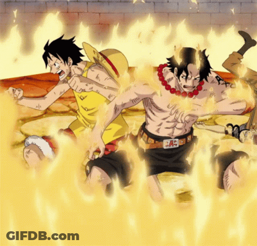 Ace One Piece Brothers Fire GIF
