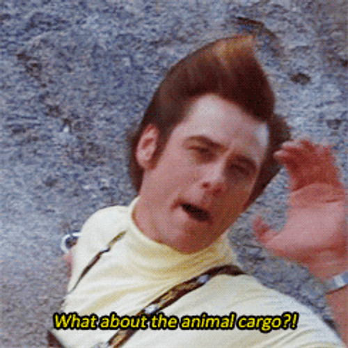 Ace Ventura Animal Cargo GIF