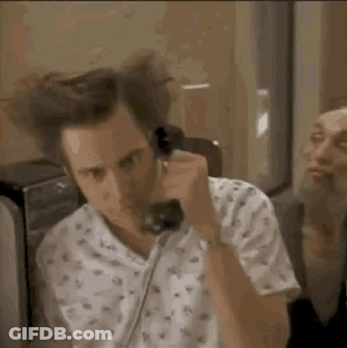 Ace Ventura Pet Detective GIF