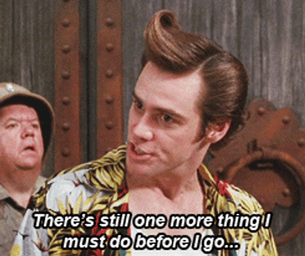 Ace Ventura Pet Detective GIF