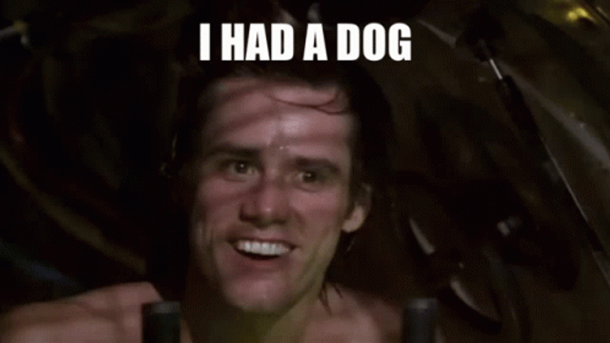 Ace Ventura Pet Detective Thats A Bingo GIF