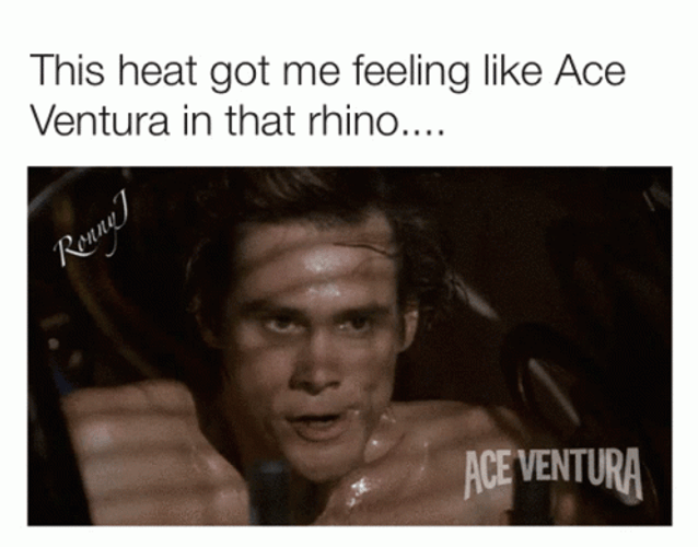Ace Ventura Rhino Heat Meme GIF