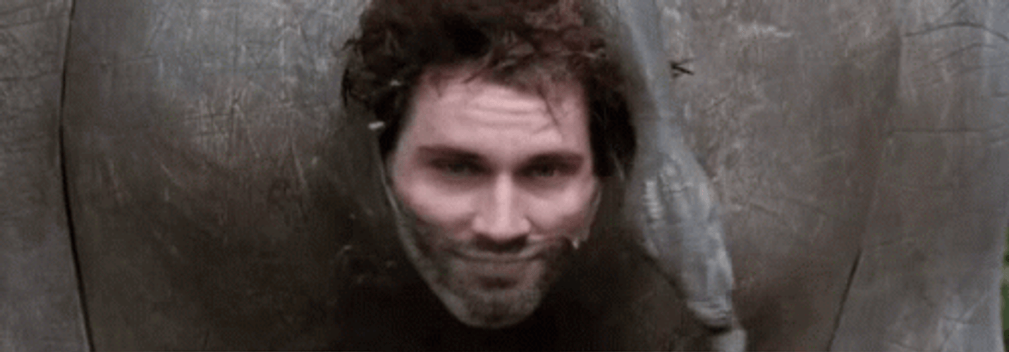 Ace Ventura Rhino Silly Spy GIF