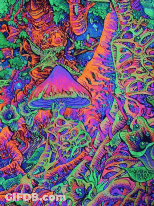 Acid Trip Mushroom GIF