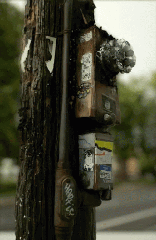 Acid Trip Optical Video Illusion GIF