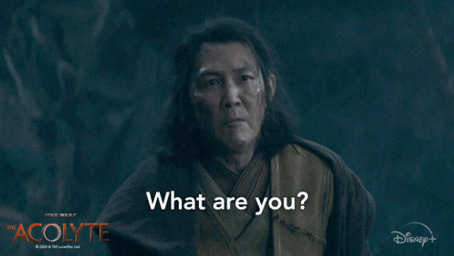 Acolyte Jedi Master Sol What Are You GIF