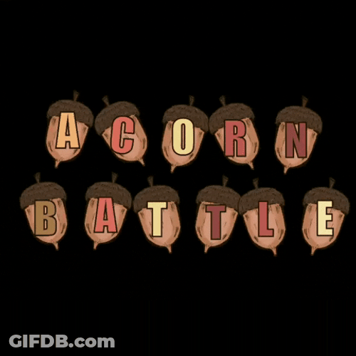 Acorn Battle Was On GIF