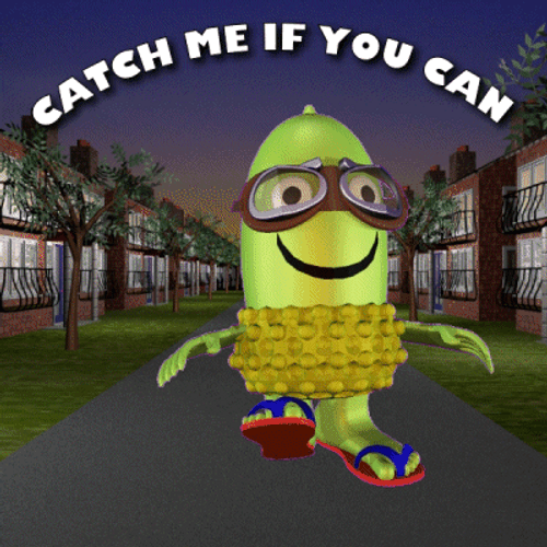 Acorn Catch Me If You Can GIF