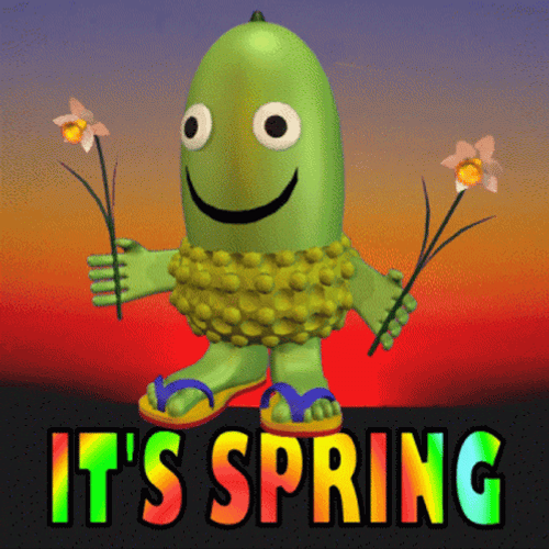 Acorn It's Spring GIF