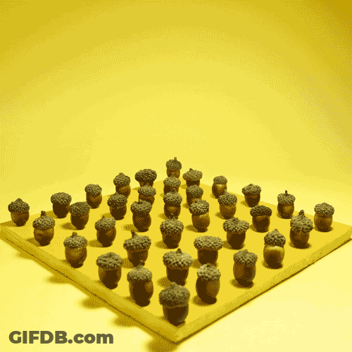Acorn On Chess Board GIF