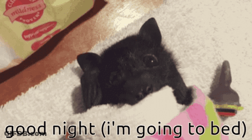 Acoustic Welcome Woman GIF
