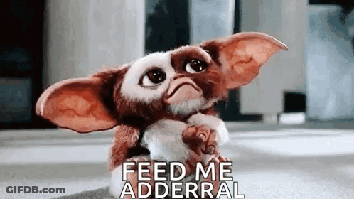 Action Cat Gizmo GIF