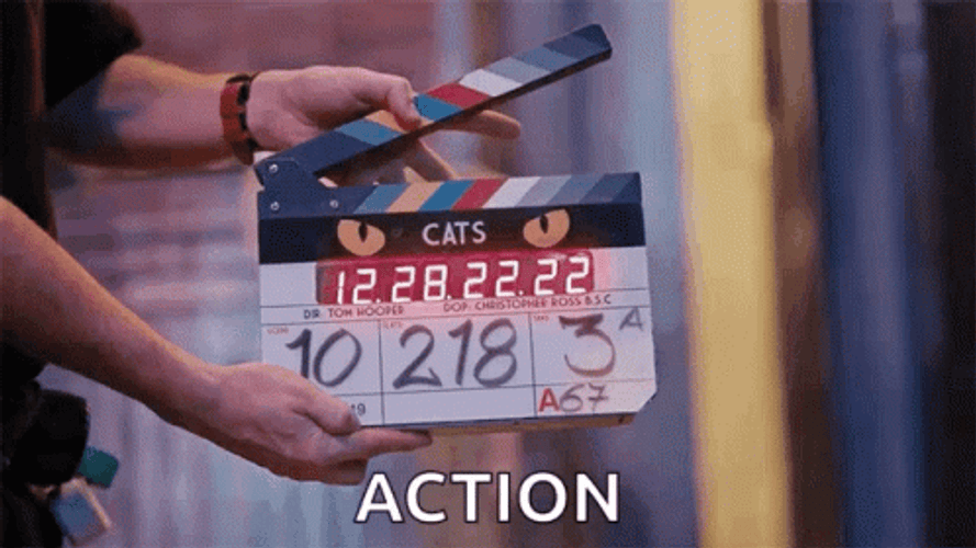 Action Clapper Board Cats Movie Director GIF