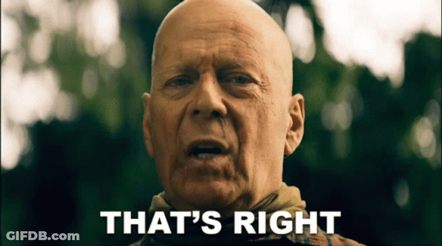 Actor Bruce Willis That Is Correct GIF