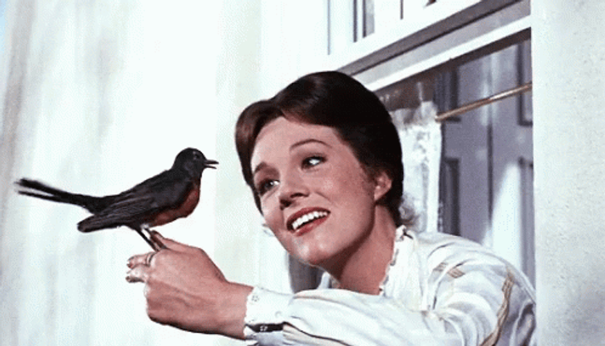 Actress Julie Andrews Mary Poppins GIF