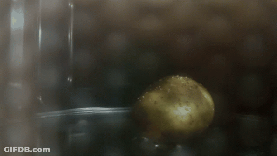 Actual Baking A Hot Potato GIF