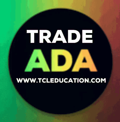 Ada Glitch GIF